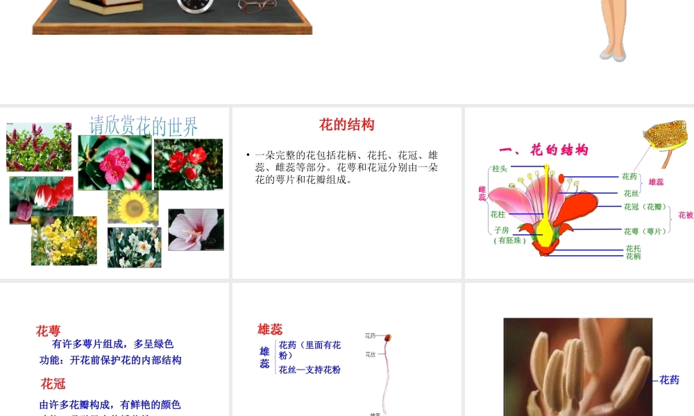 八年级生物上册 第四单元 物种的延续 第一章 绿色开花植物的一生 第一节 花的结构和类型课件（新版）济南版-（新版）济南版初中八年级上册生物课件