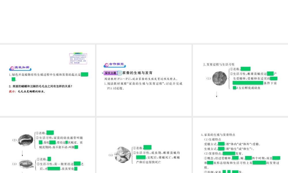 八年级生物上册 第十四章 第三节 昆虫的生殖与发育课件 苏教版