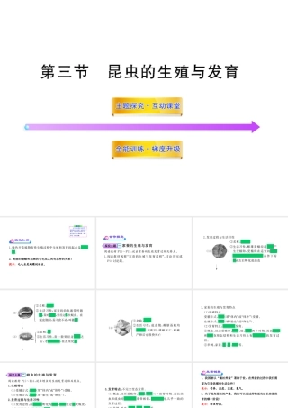 八年级生物上册 第十四章 第三节 昆虫的生殖与发育课件 苏教版