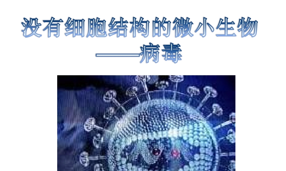 八年级生物上册 第五单元 第五章 病毒教学课件 （新版）新人教版-（新版）新人教版初中八年级上册生物课件