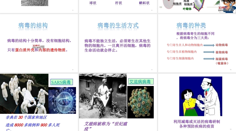 八年级生物上册 第五单元 第五章 病毒教学课件 （新版）新人教版-（新版）新人教版初中八年级上册生物课件