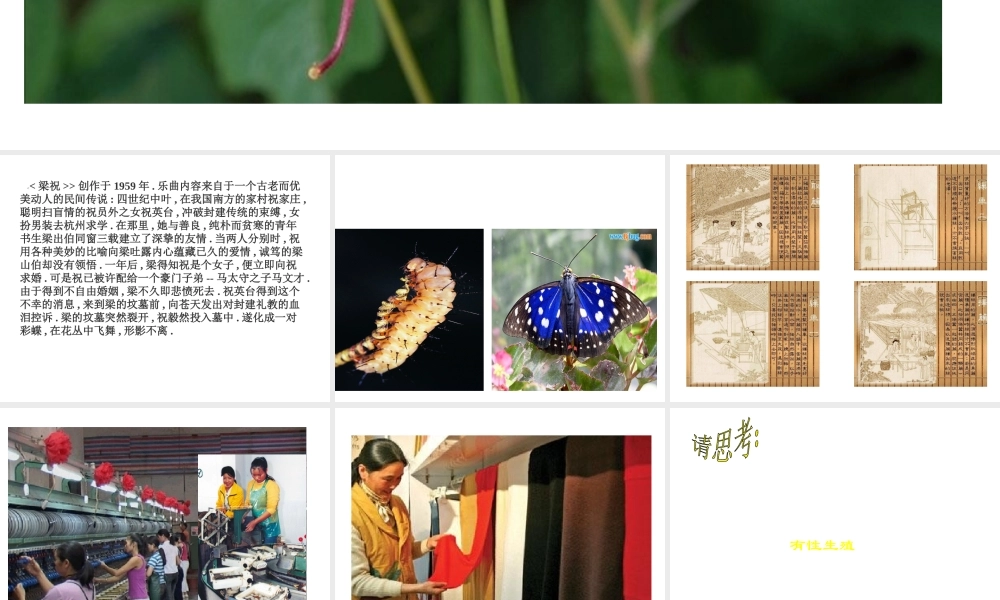 八年级生物上册 第十四章 第三节 昆虫的生殖与发育课件1 苏教版