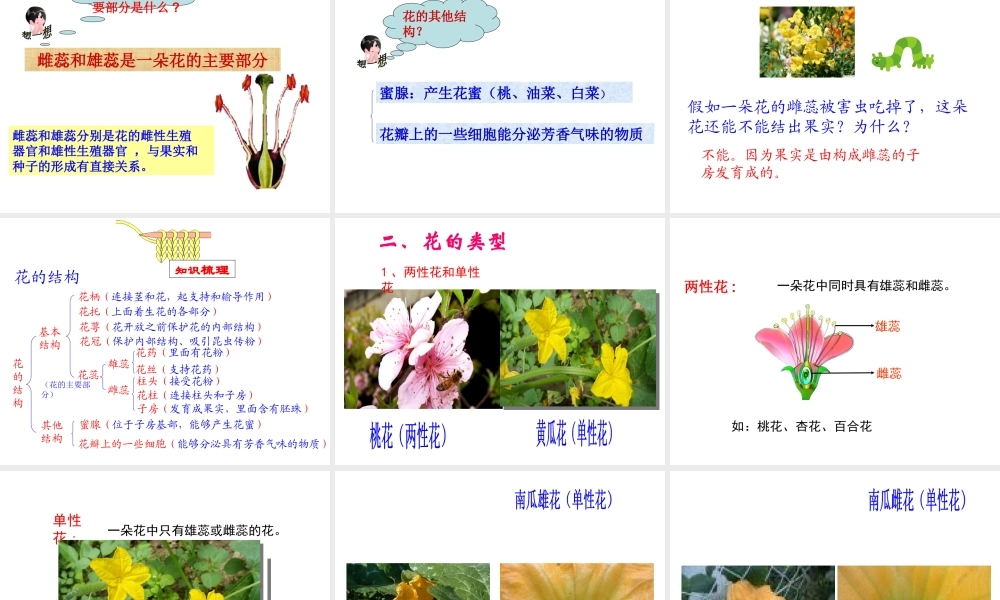 八年级生物上册 第四单元 物种的延续 第一章 绿色开花植物的一生 第一节 花的结构和类型课件（新版）济南版-（新版）济南级上册生物课件