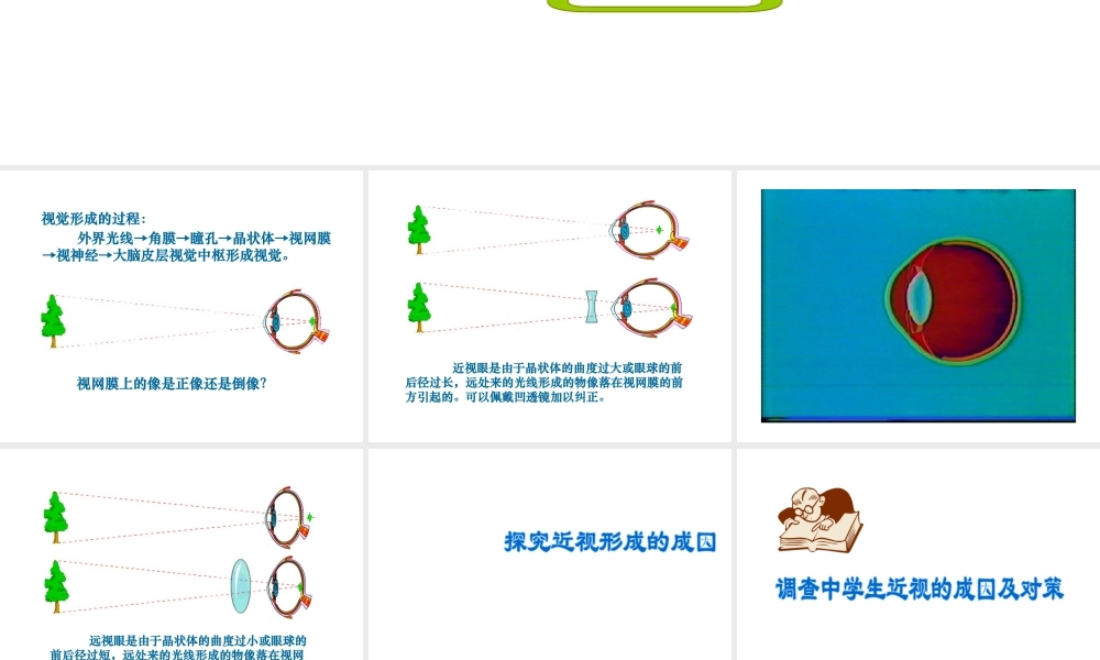 八年级生物上册《人体对信息的感知》课件1 苏科版