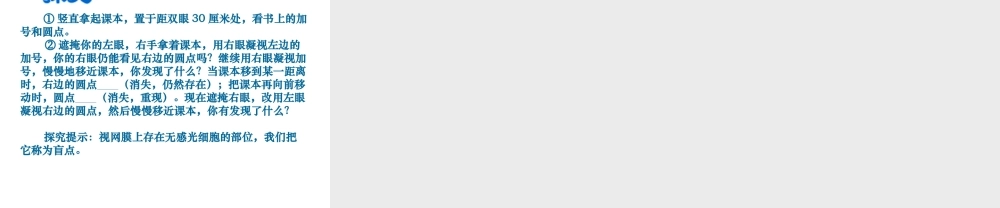 八年级生物上册《人体对信息的感知》课件1 苏科版