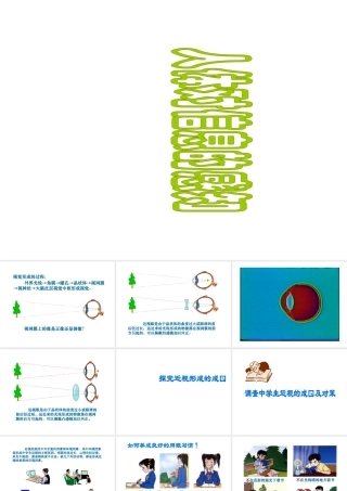 八年级生物上册《人体对信息的感知》课件1 苏科版