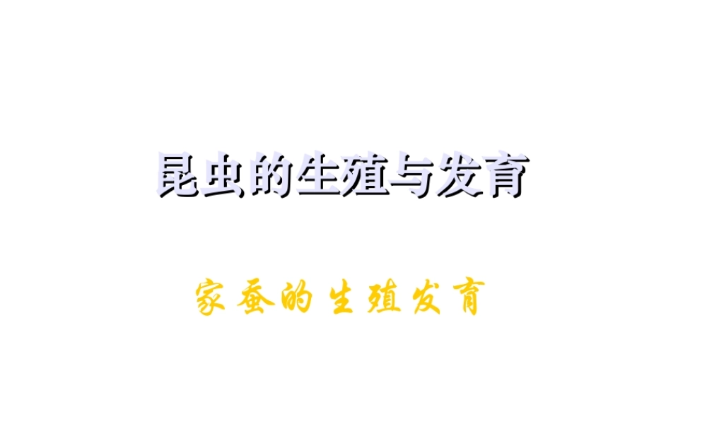 八年级生物上册 第十四章 第三节 昆虫的生殖与发育课件2 苏教版