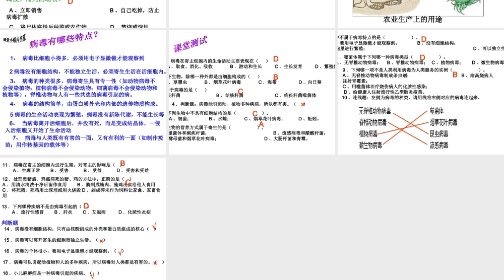 八年级生物上册 第五单元 第五章 病毒课件 （新版）新人教版-（新版）新人教版初中八年级上册生物课件