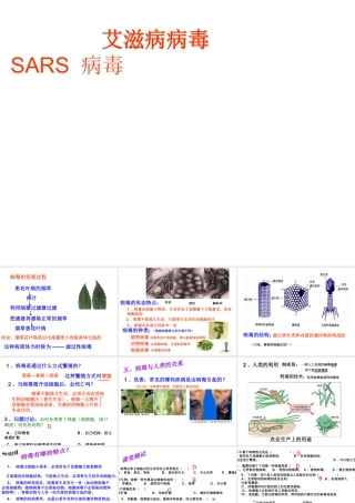 八年级生物上册 第五单元 第五章 病毒课件 （新版）新人教版-（新版）新人教版初中八年级上册生物课件