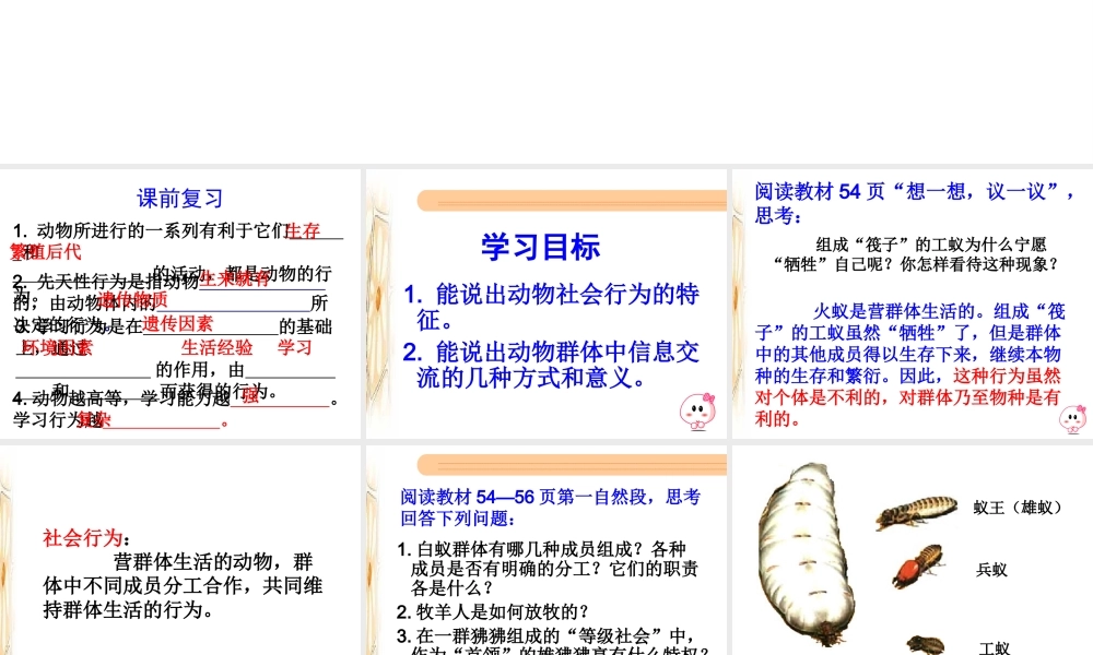 八年级生物上册 第五单元第二章第三节社会行为课件 （新版）新人教版-（新版）新人教版初中八年级上册生物课件