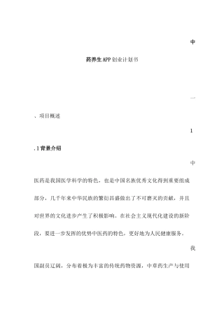 中药养生APP创业计划书