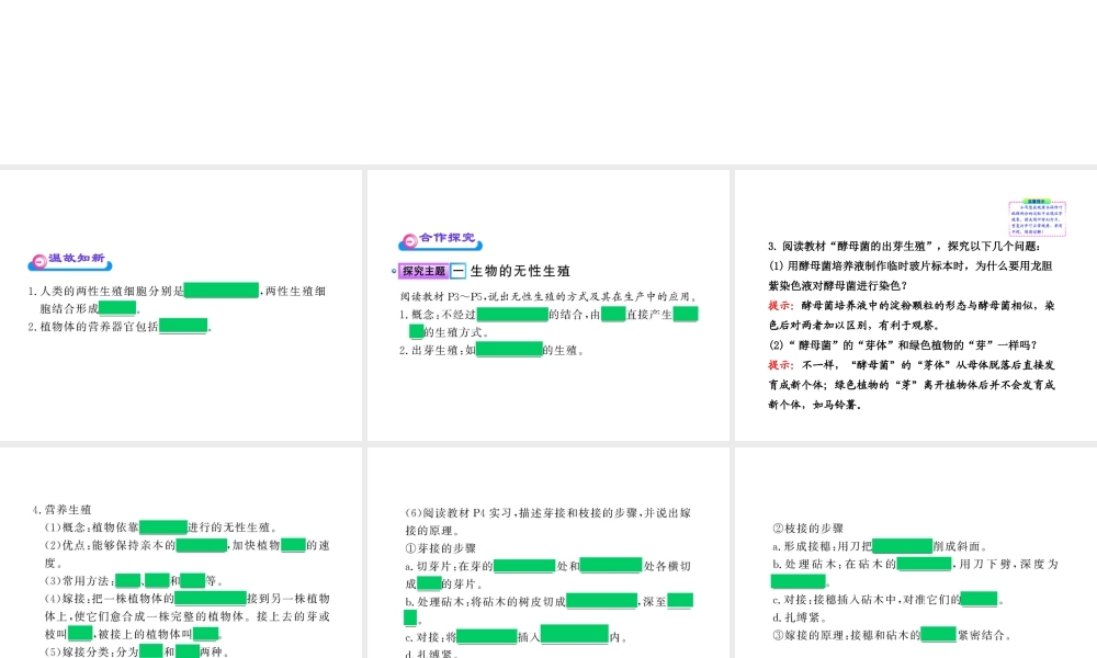 八年级生物上册 第十四章 第一节 生物的无性生殖课件 苏教版