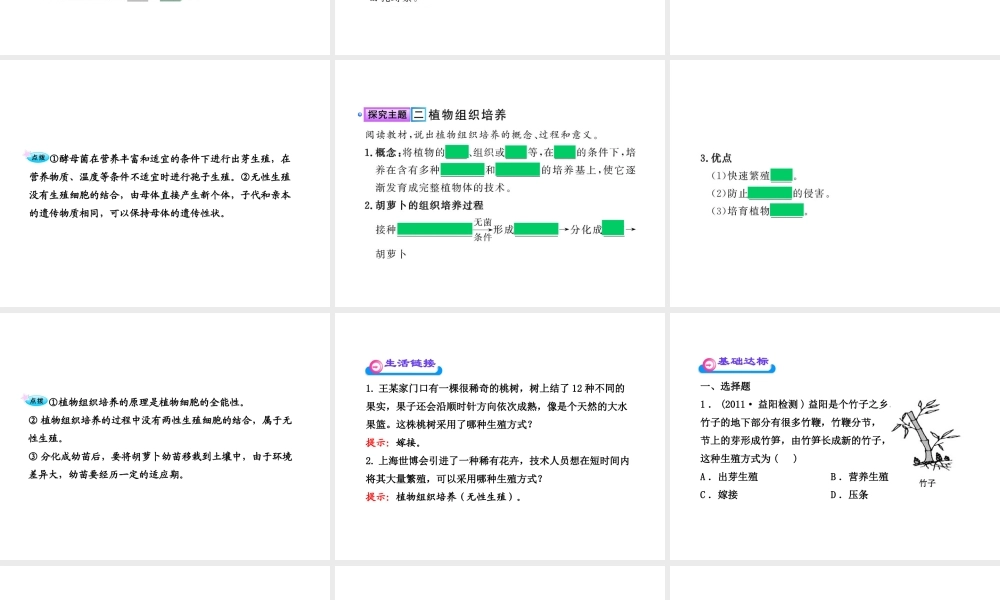 八年级生物上册 第十四章 第一节 生物的无性生殖课件 苏教版