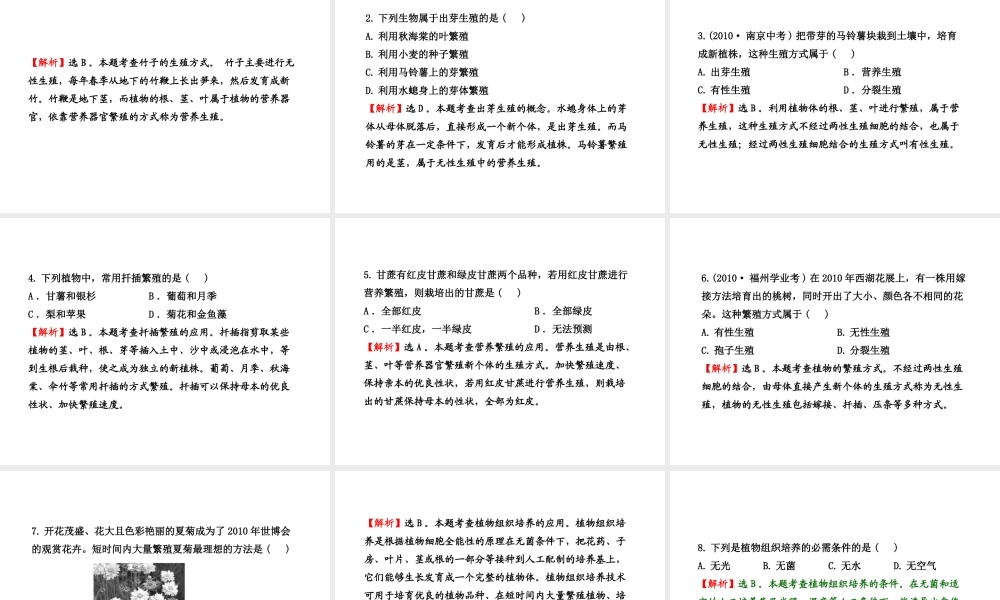 八年级生物上册 第十四章 第一节 生物的无性生殖课件 苏教版
