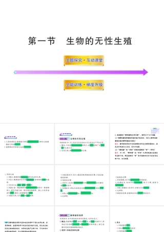 八年级生物上册 第十四章 第一节 生物的无性生殖课件 苏教版