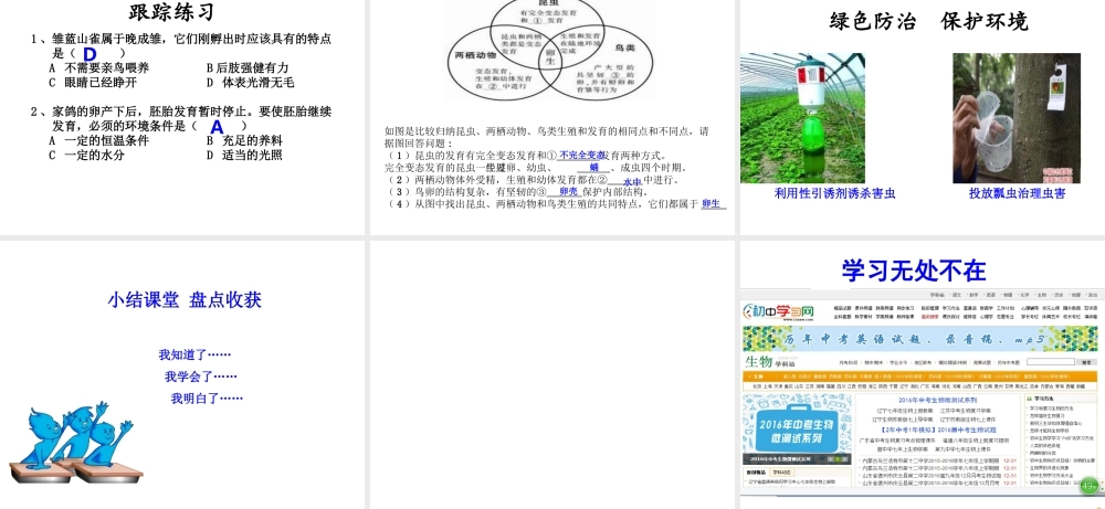 八年级生物下册 7.1.3 动物的生殖和发育复习课件 新人教版-新人教级下册生物课件
