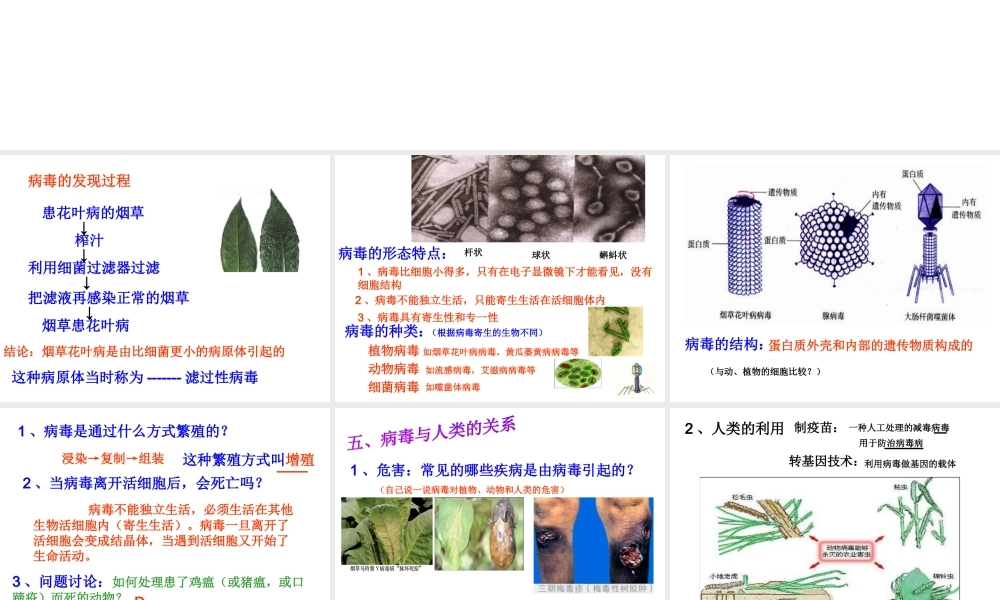 八年级生物上册 第五单元 第五章 病毒课件 （新版）新人教版-（新版）新人教级上册生物课件
