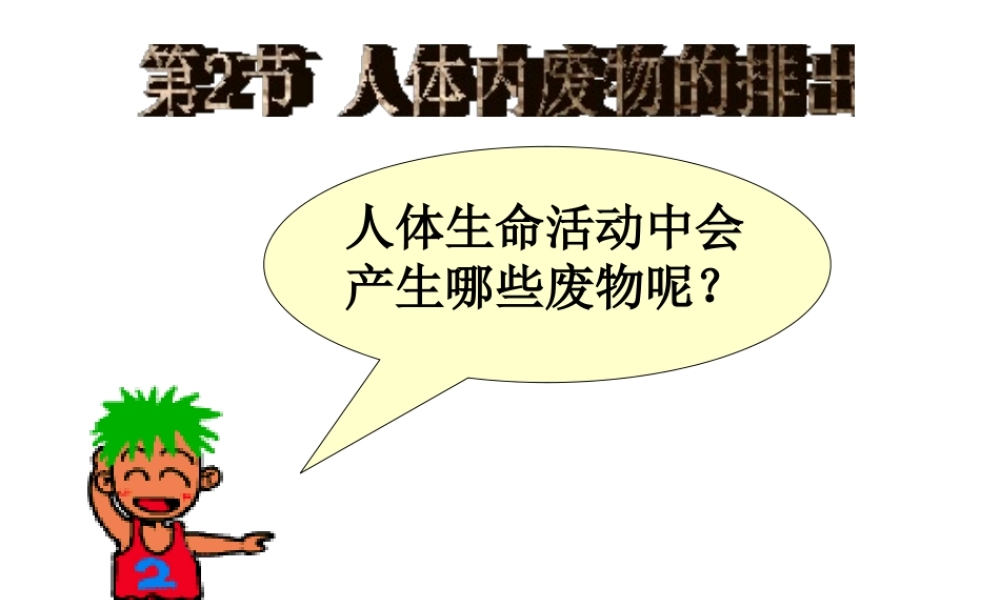 八年级生物上册《人体内废物的排出》课件2 苏科版