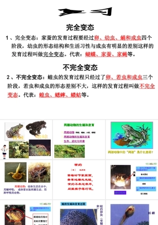 八年级生物下册 7.1.3 两栖动物的生殖和发育课件（1）（新版）新人教版-（新版）新人教版初中八年级下册生物课件