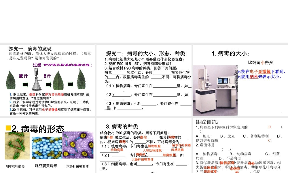 八年级生物上册 第五单元 第五章 病毒课件 （新版）新人教版