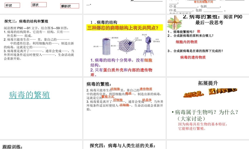 八年级生物上册 第五单元 第五章 病毒课件 （新版）新人教版