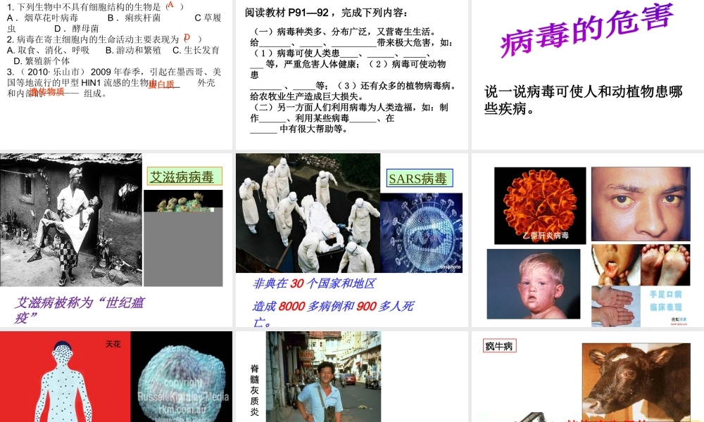 八年级生物上册 第五单元 第五章 病毒课件 （新版）新人教版