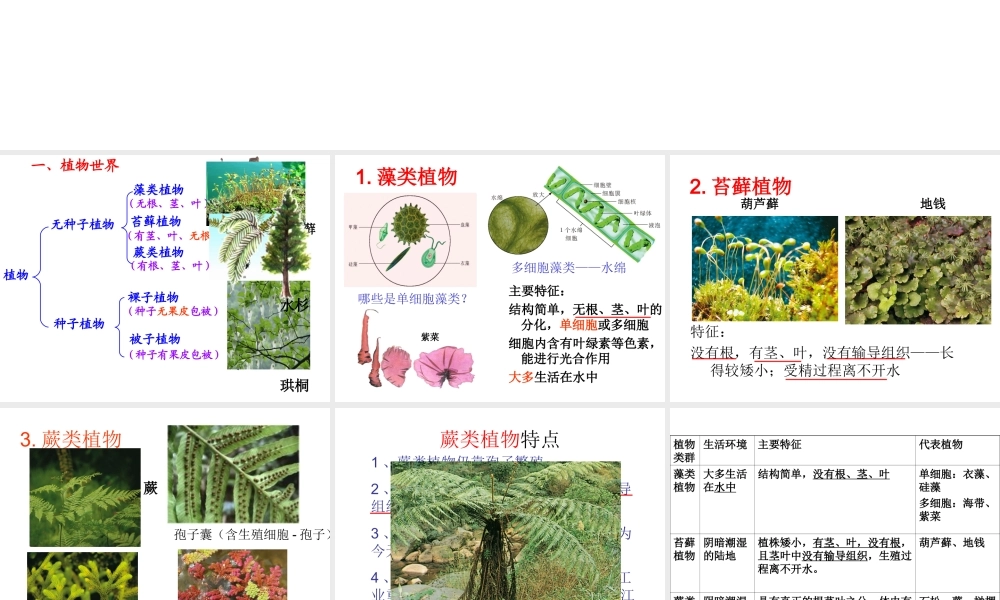 八年级生物上册 第十四章 丰富多彩的生物世界复习课件 苏教版