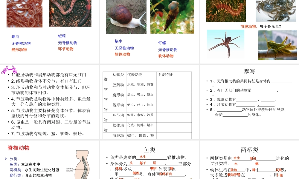 八年级生物上册 第十四章 丰富多彩的生物世界复习课件 苏教版