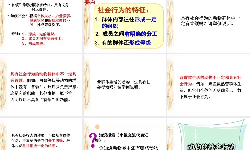 八年级生物上册 第五单元第二章第三节社会行为课件 （新版）新人教版-（新版）新人教级上册生物课件