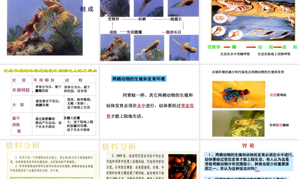 八年级生物下册 7.1.3 两栖动物的生殖和发育课件（1）（新版）新人教版-（新版）新人教级下册生物课件