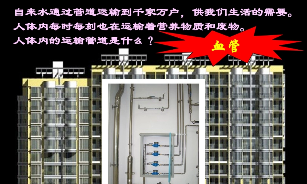 八年级生物上册《人体内物质的运输》课件1 苏科版