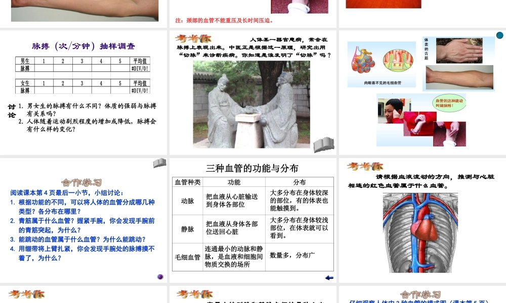 八年级生物上册《人体内物质的运输》课件1 苏科版