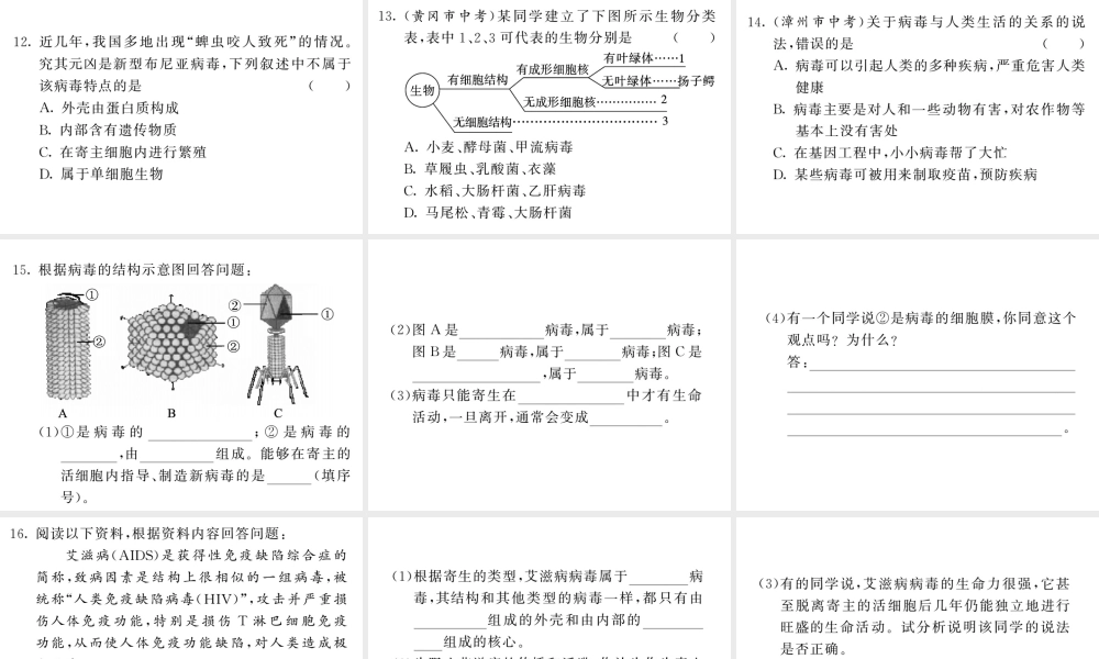 八年级生物上册 第五单元 第五章 病毒习题课件 （新版）新人教版-（新版）新人教版初中八年级上册生物课件