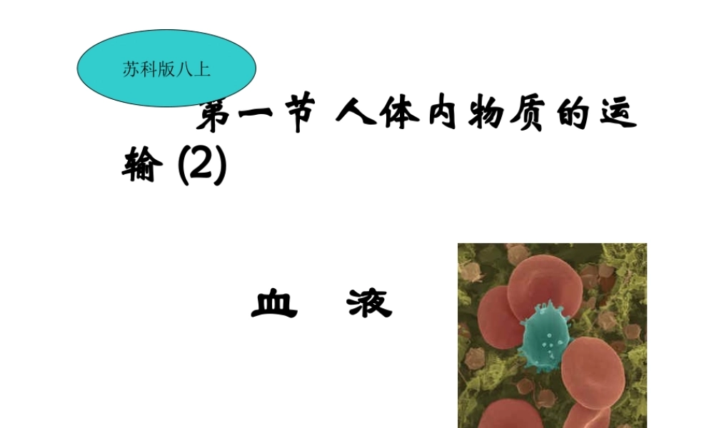 八年级生物上册《人体内物质的运输》课件2 苏科版