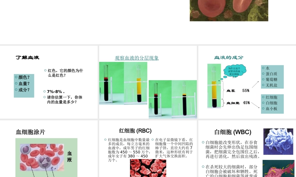 八年级生物上册《人体内物质的运输》课件2 苏科版