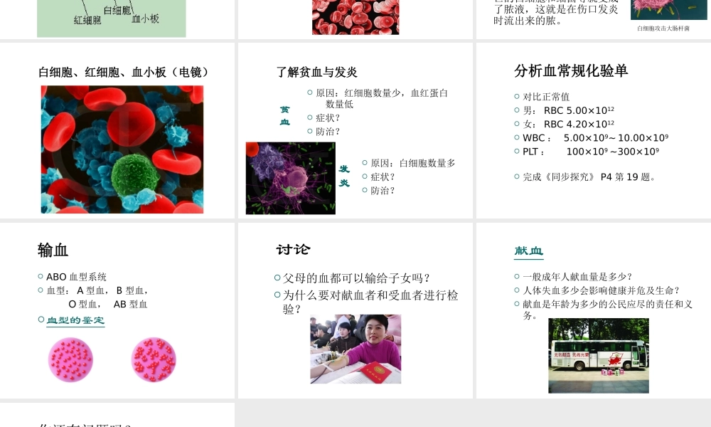 八年级生物上册《人体内物质的运输》课件2 苏科版