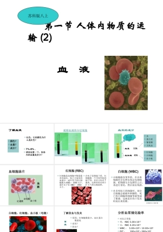 八年级生物上册《人体内物质的运输》课件2 苏科版