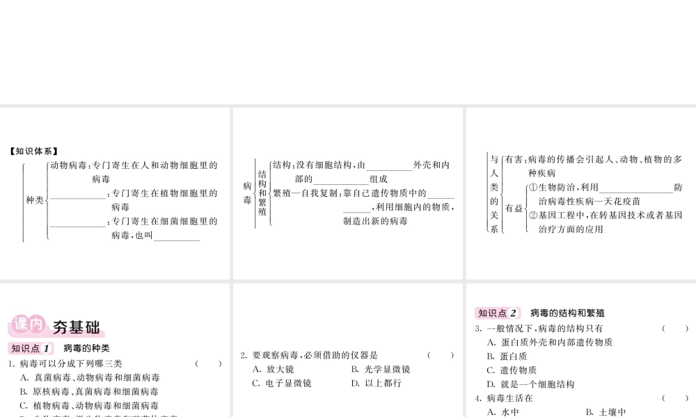 八年级生物上册 第五单元 第五章 病毒习题课件 （新版）新人教版-（新版）新人教级上册生物课件