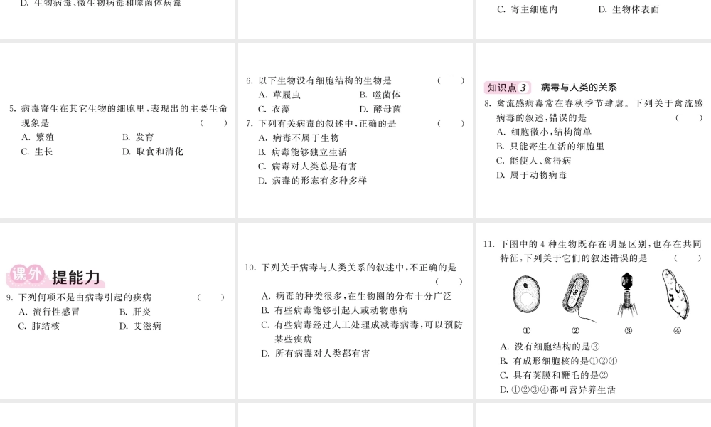 八年级生物上册 第五单元 第五章 病毒习题课件 （新版）新人教版-（新版）新人教级上册生物课件