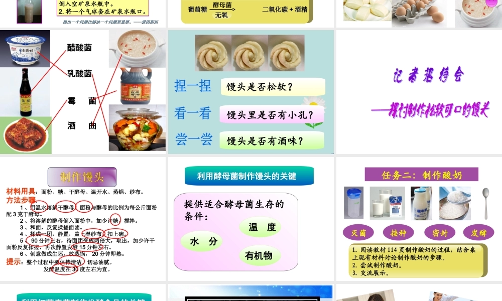 八年级生物上册 第五单元第三章 第一节 发酵食品的制作课件 （新版）冀教版-（新版）冀教版初中八年级上册生物课件