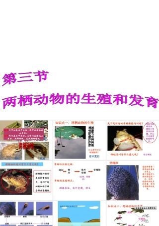 八年级生物下册 7.1.3 两栖动物的生殖和发育课件（2）（新版）新人教版-（新版）新人教级下册生物课件