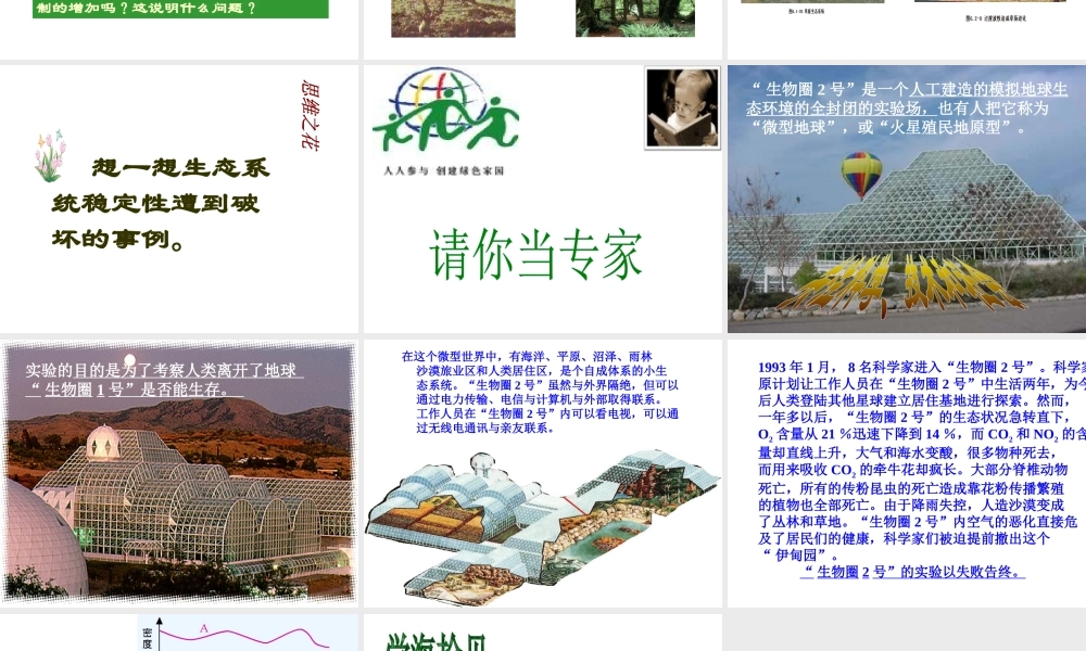 八年级生物上册《生态系统的自我调节》课件1 苏科版