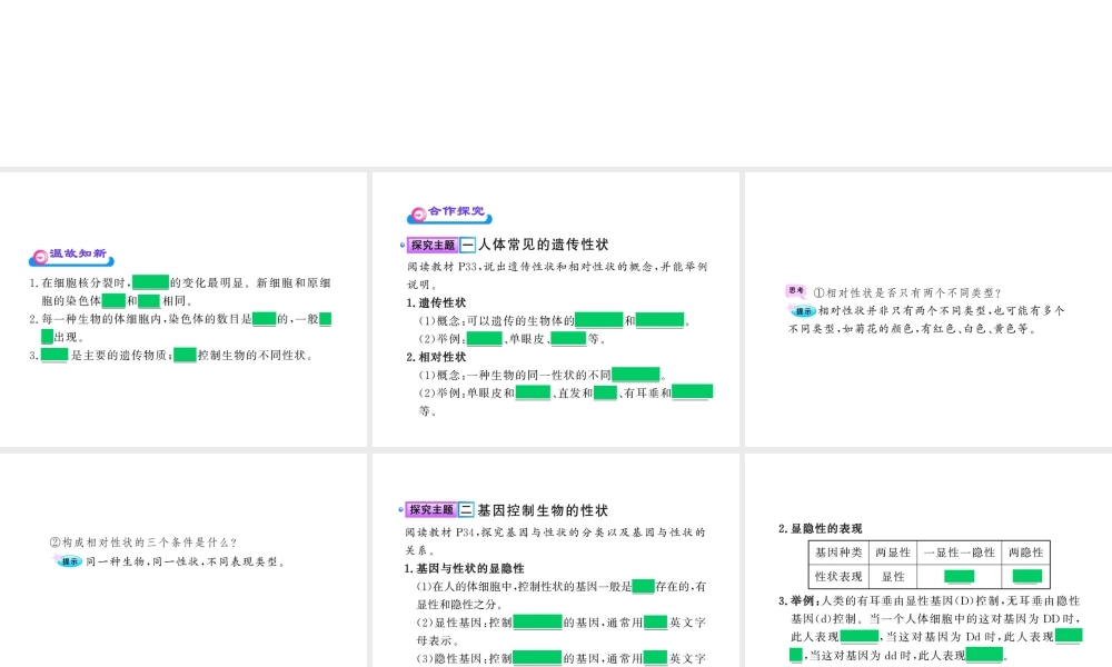 八年级生物上册 第十五章 第二节 人的性状和遗传课件 苏教版
