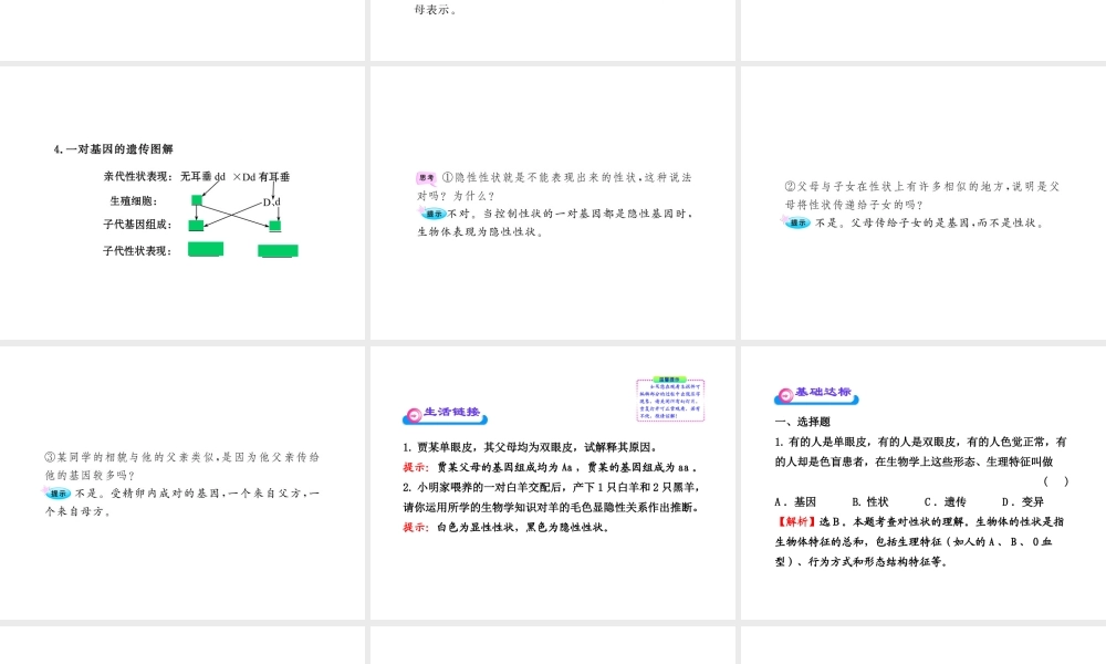 八年级生物上册 第十五章 第二节 人的性状和遗传课件 苏教版