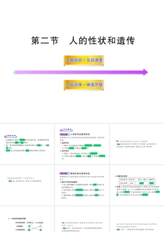 八年级生物上册 第十五章 第二节 人的性状和遗传课件 苏教版