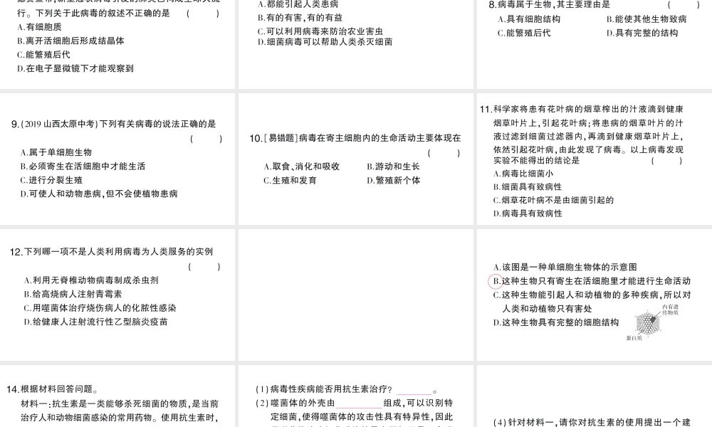 八年级生物上册 第五单元 第五章 病毒作业课件 （新版）新人教版-（新版）新人教版初中八年级上册生物课件