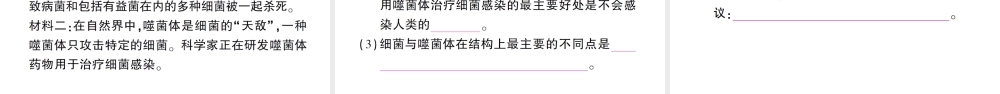 八年级生物上册 第五单元 第五章 病毒作业课件 （新版）新人教版-（新版）新人教版初中八年级上册生物课件