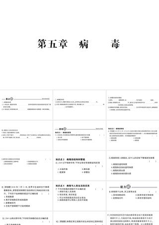 八年级生物上册 第五单元 第五章 病毒作业课件 （新版）新人教版-（新版）新人教版初中八年级上册生物课件