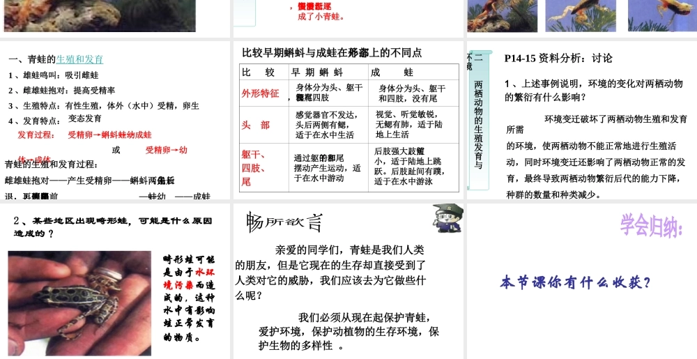 八年级生物下册 7.1.3 两栖动物的生殖和发育课件（3）（新版）新人教版-（新版）新人教版初中八年级下册生物课件