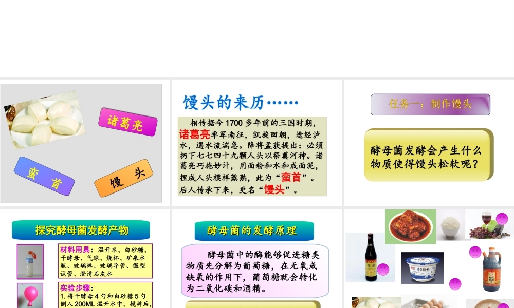 八年级生物上册 第五单元第三章 第一节 发酵食品的制作课件 （新版）冀教版-（新版）冀教级上册生物课件